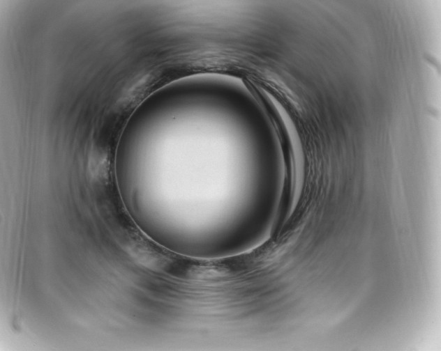 X0000099480597200805091610