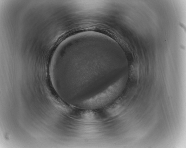 X0000099480600200805091610