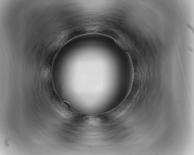 X0000099480601200805091610