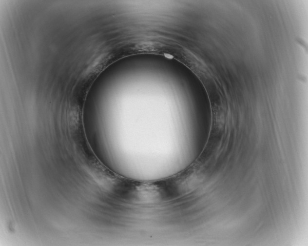 X0000099480603200805091610