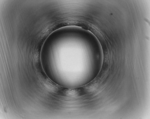 X0000099480604200805091610