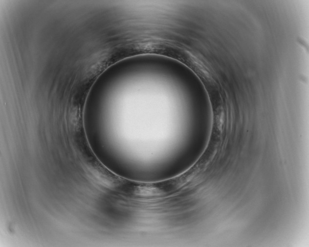 X0000099480605200805091610