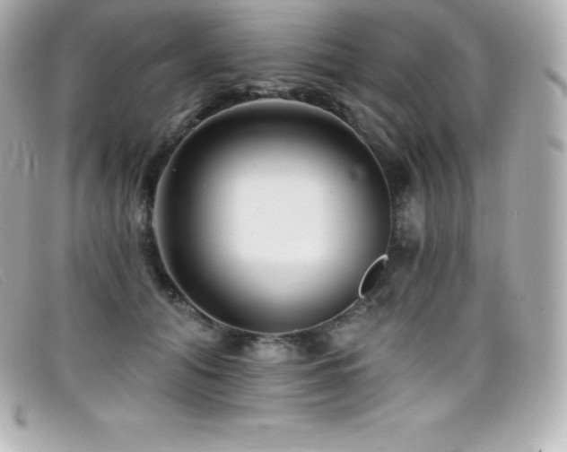 X0000099480608200805091610
