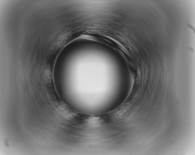 X0000099480609200805091610