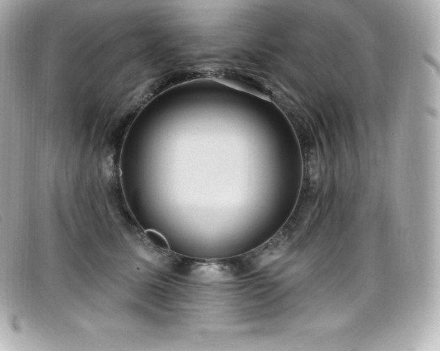X0000099480611200805091610