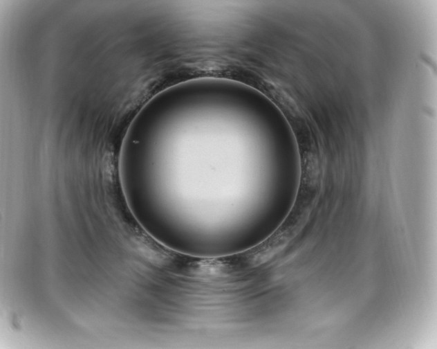 X0000099480612200805091610