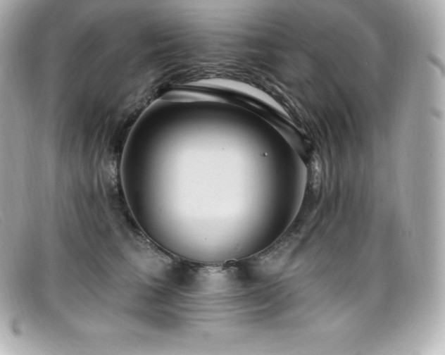 X0000099480613200805091610