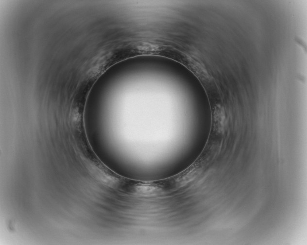 X0000099480614200805091610
