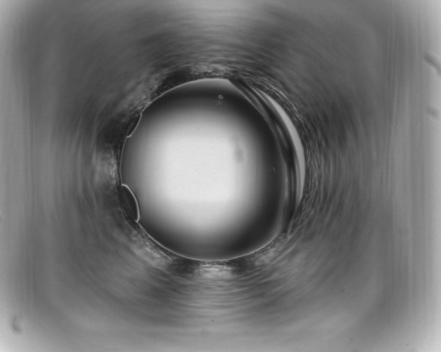 X0000099480617200805091610