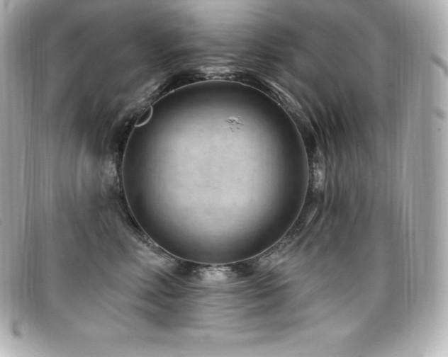 X0000099480618200805091610