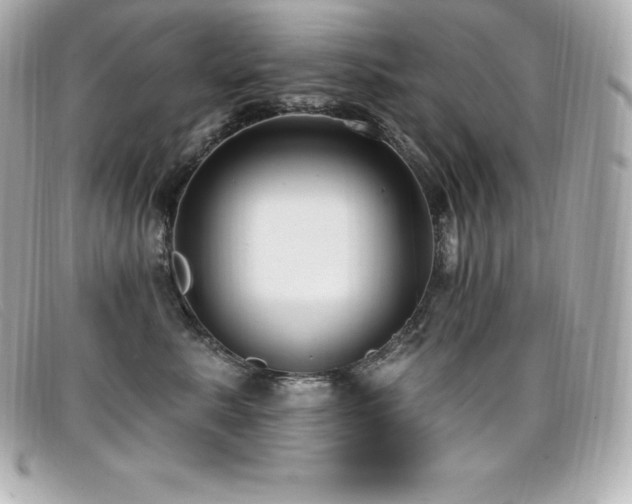 X0000099480619200805091610
