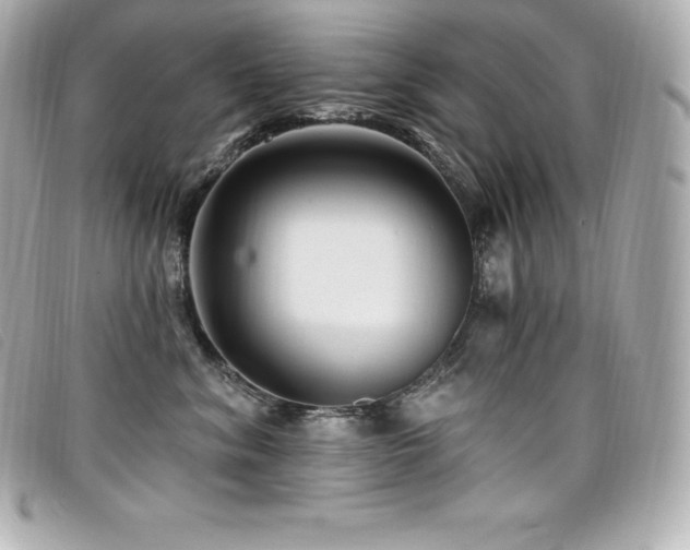 X0000099480620200805091610
