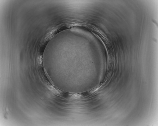 X0000099480621200805091610