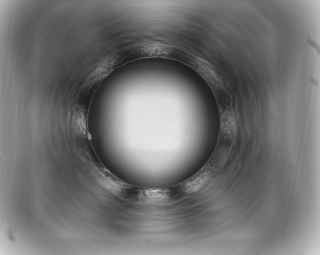 X0000099480622200805091610