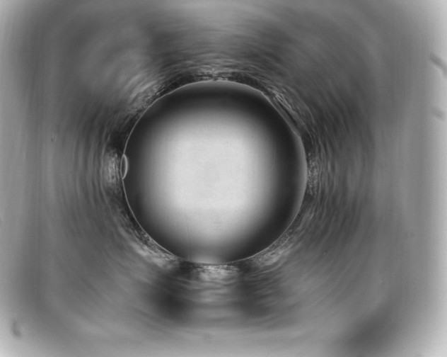 X0000099480623200805091610