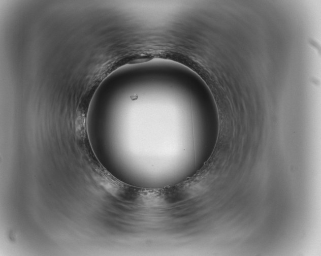X0000099480624200805091610