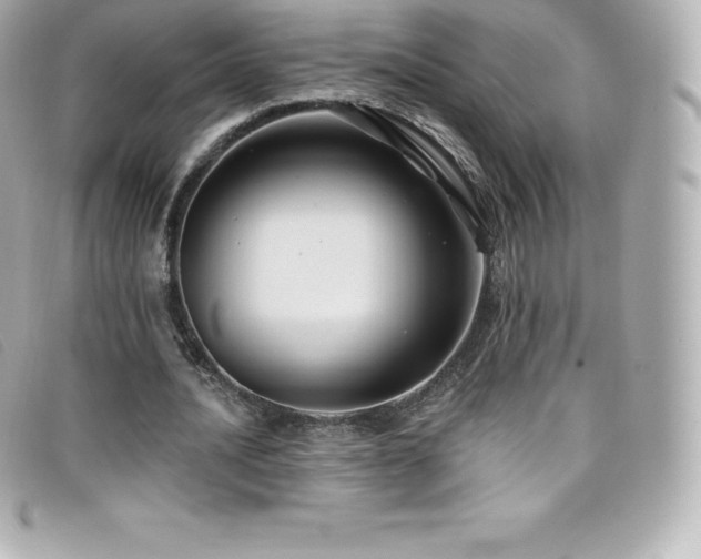 X0000099480628200805091609