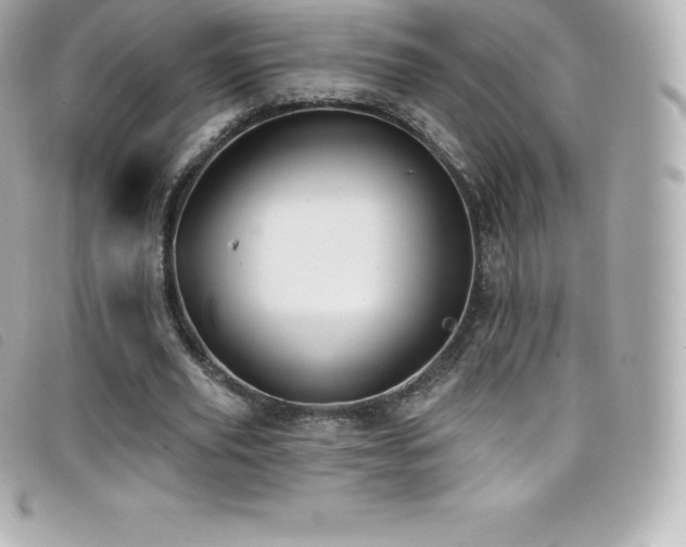 X0000099480629200805091609