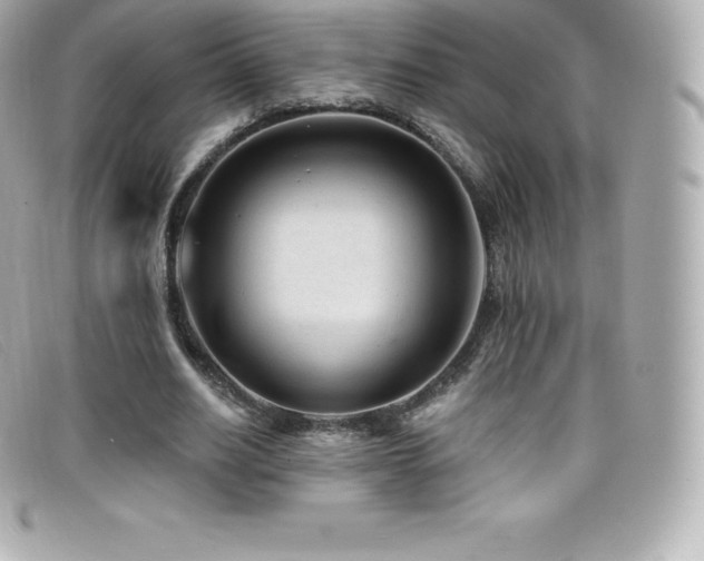 X0000099480630200805091609