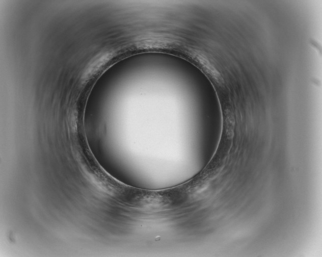 X0000099480631200805091609