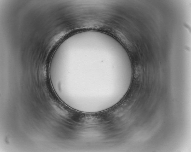 X0000099480632200805091609