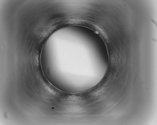 X0000099480633200805091609