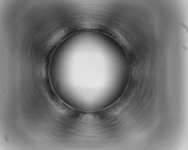 X0000099480635200805091609