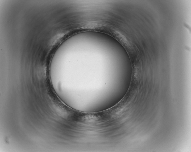 X0000099480636200805091609