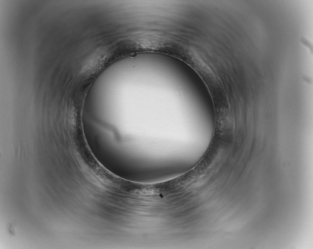 X0000099480639200805091609