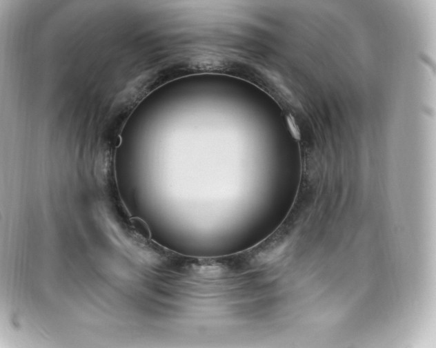 X0000099480645200805091609