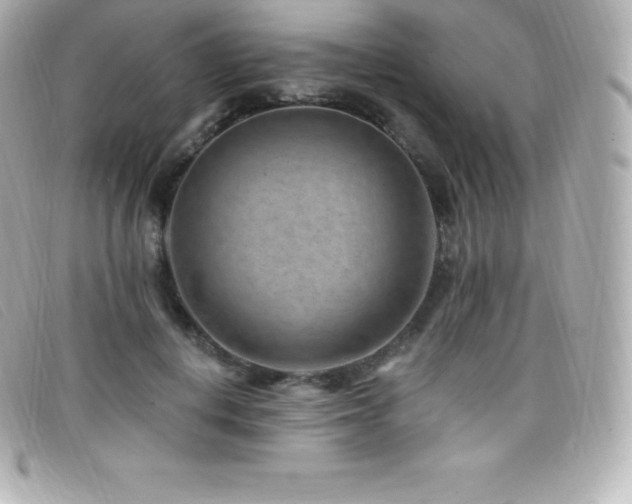 X0000099480648200805091609