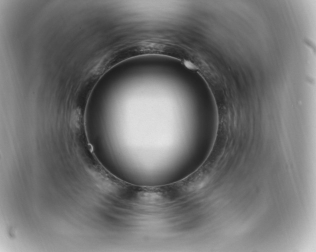 X0000099480649200805091609