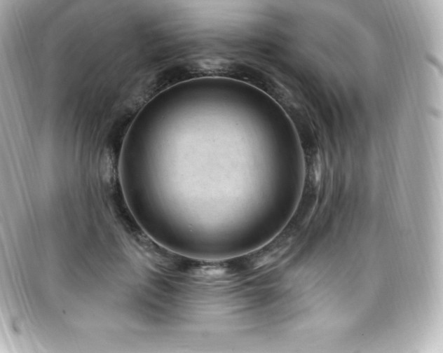 X0000099480651200805091609