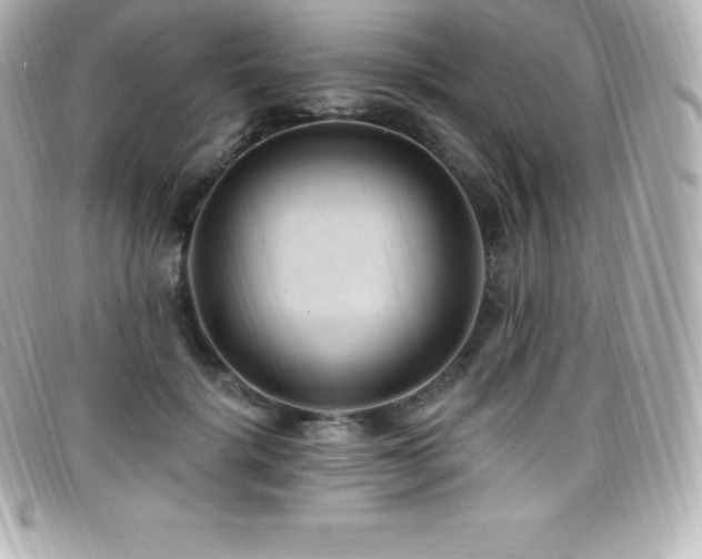 X0000099480652200805091610