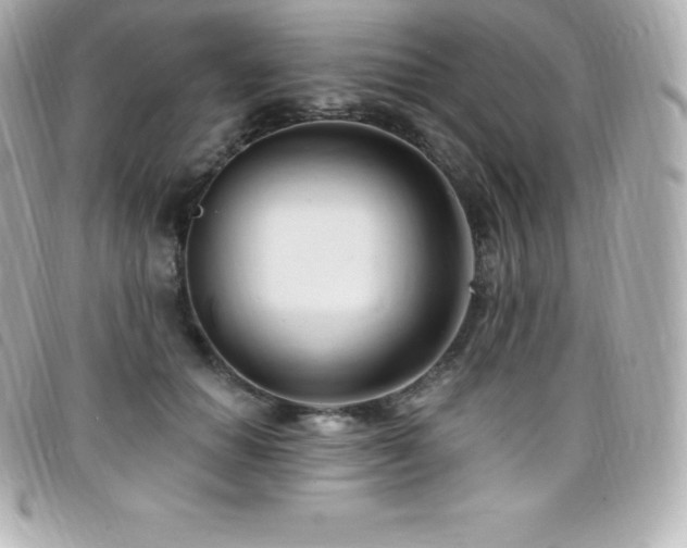 X0000099480654200805091610
