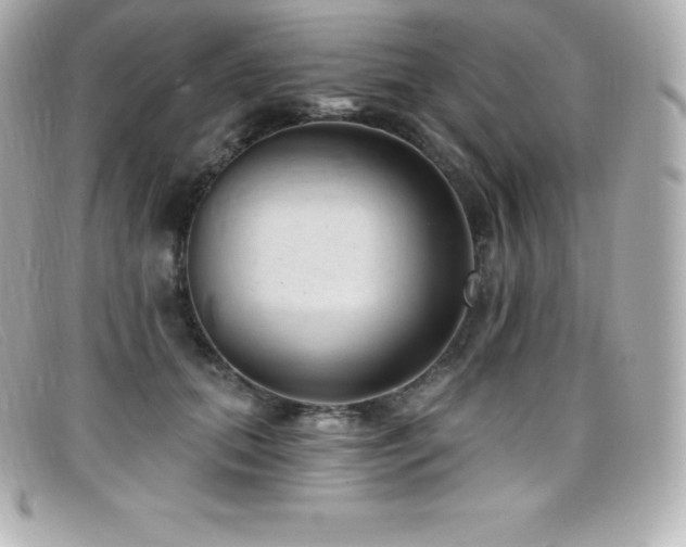 X0000099480655200805091610