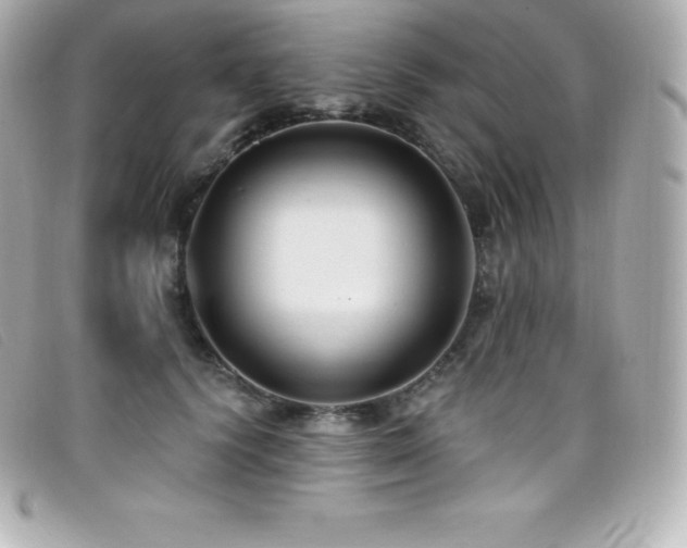 X0000099480656200805091610