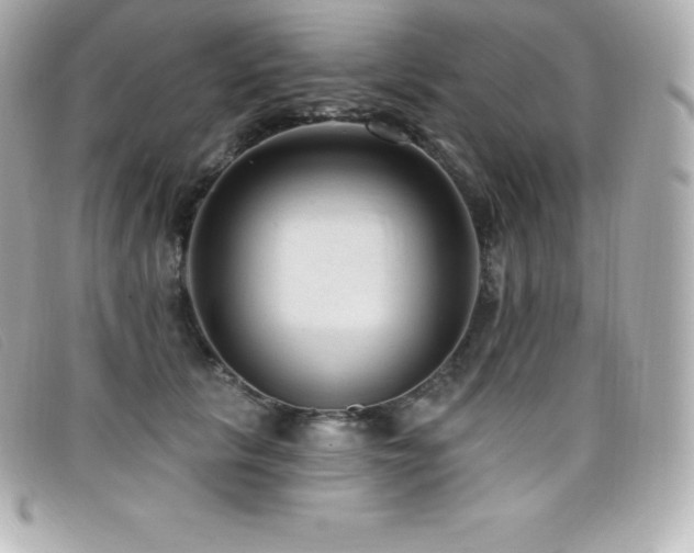 X0000099480657200805091610