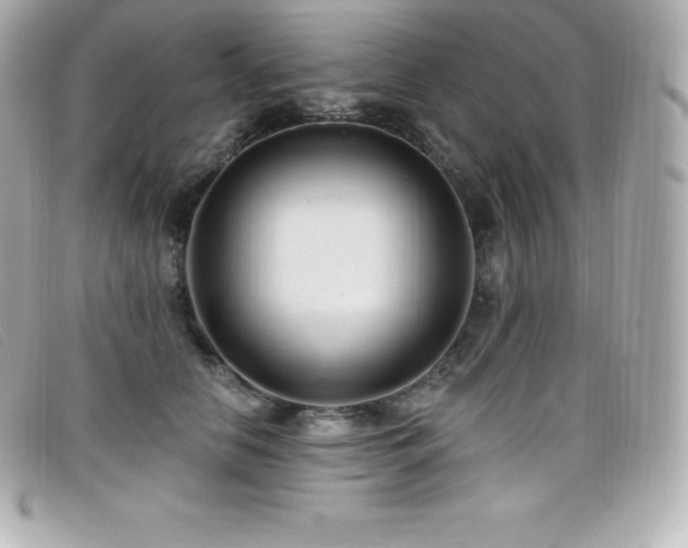 X0000099480658200805091610
