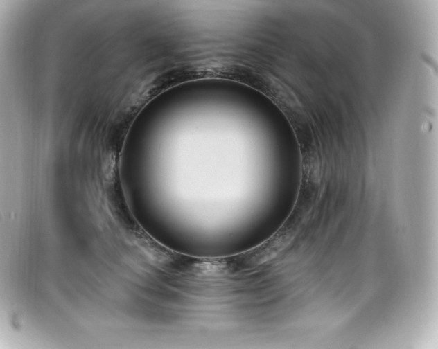 X0000099480660200805091610