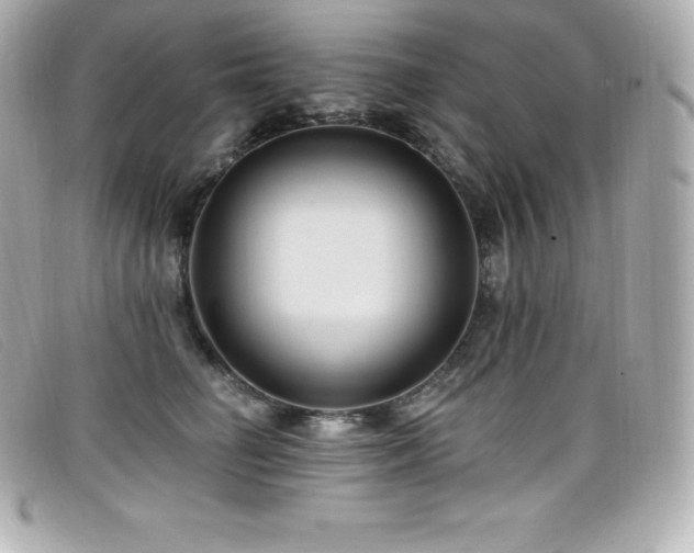 X0000099480662200805091610