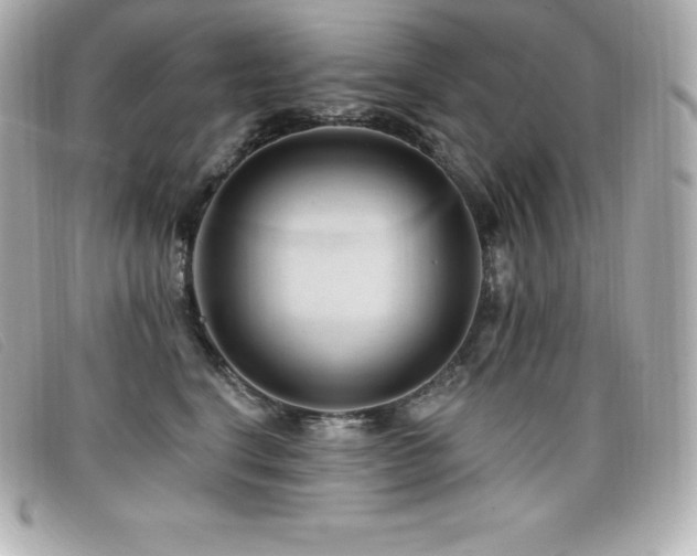X0000099480664200805091610