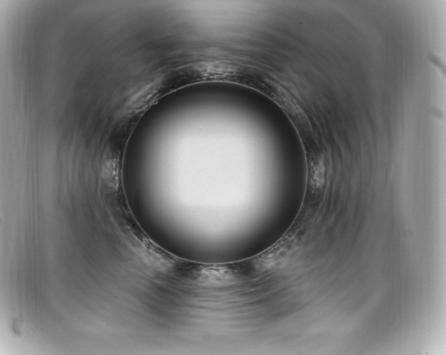 X0000099480666200805091610