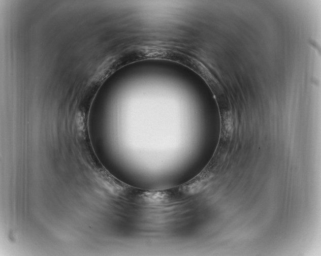 X0000099480667200805091610