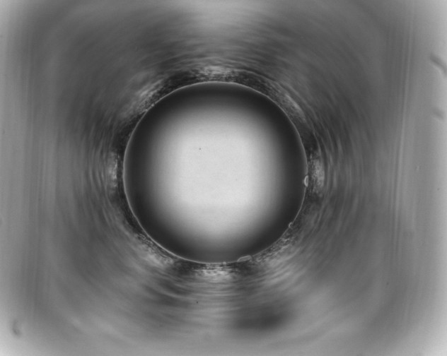 X0000099480668200805091610