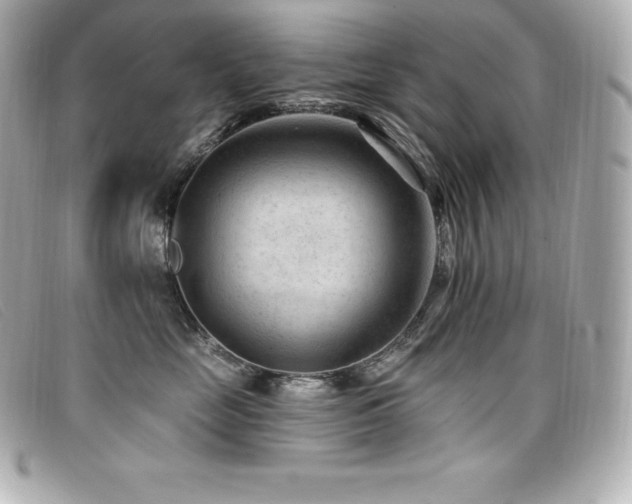 X0000099480669200805091610