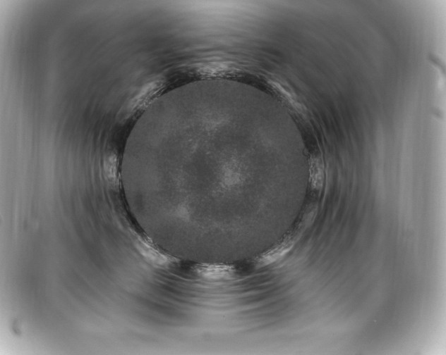 X0000099480670200805091610