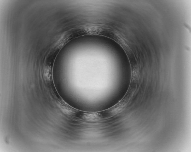 X0000099480671200805091610