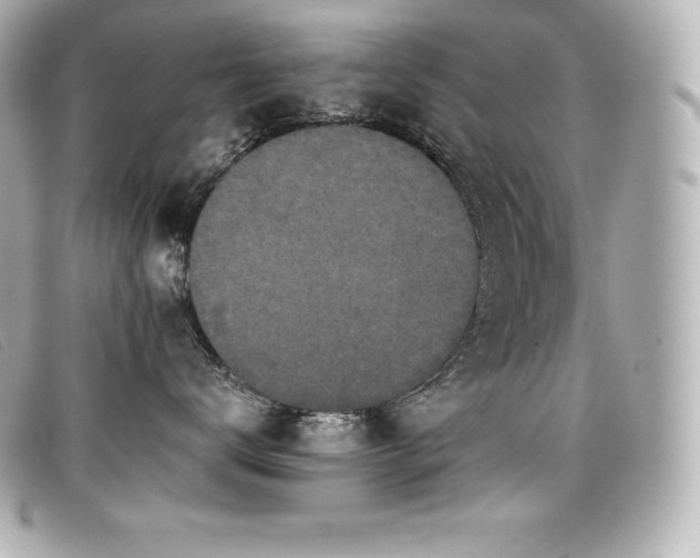 X0000099480672200805091610