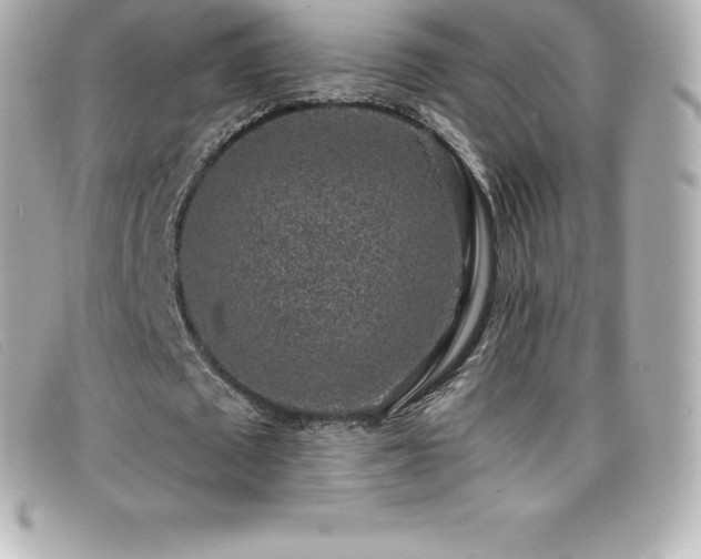 X0000099480673200805091609